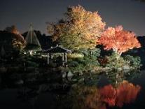 晩秋の清澄庭園２
