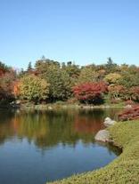 昭和記念公園・日本庭園１