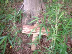 プレート設置20060708-4.jpg