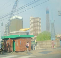 20100509-8.JPG