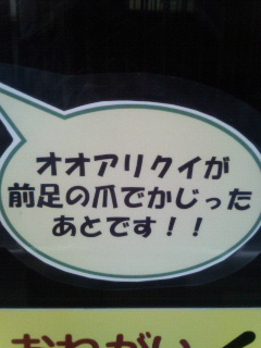 かじる。