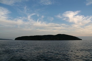 太平洋にぽっかり浮かぶ田代島