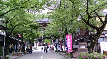 谷汲山　華厳寺（西国三十三番満願霊場33番）.jpg