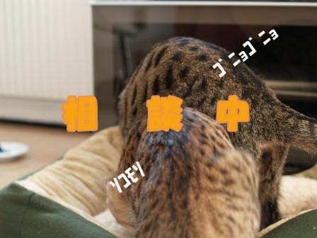 なかよく？４.jpg