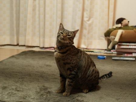 たのし.JPG