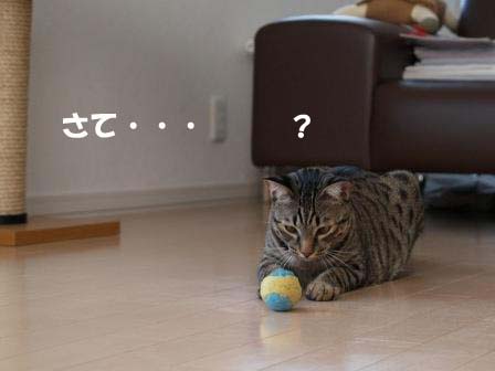 ボール６.JPG