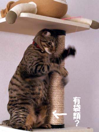 ごめんなさい２.jpg