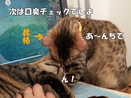 おくち４.jpg