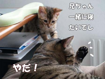 僕の悩み２.jpg