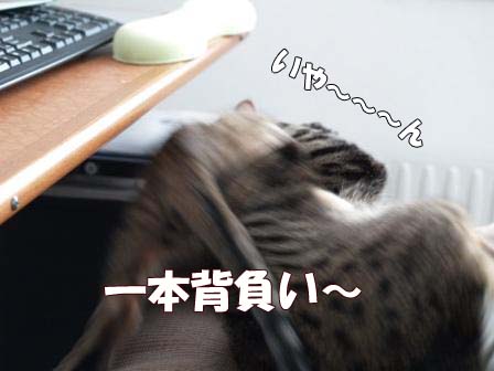 僕の悩み４.jpg