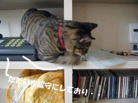たな２.JPG