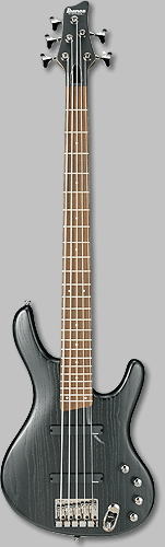 Ibanez EDB-555.jpg