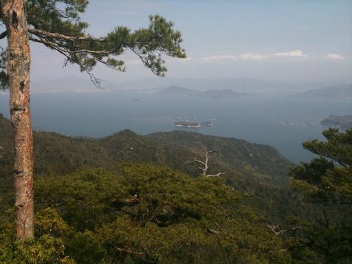 登山中の景色