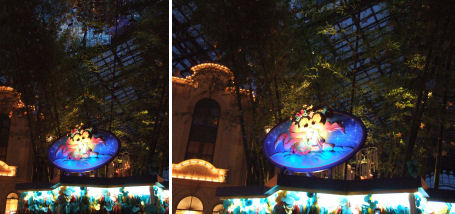 TANABATA3
