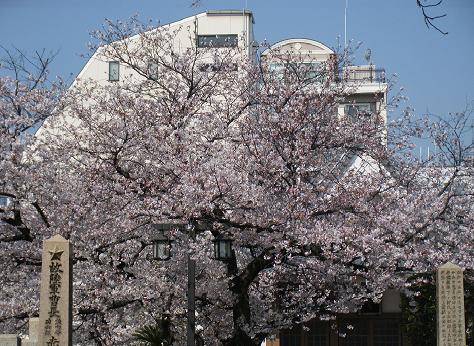 2009_0406ブログ0004.JPG