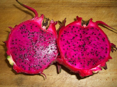 ドラゴンフルーツ２.jpg