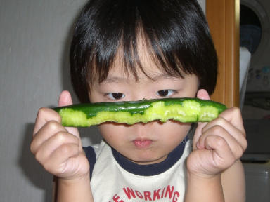 マメちゃんときゅうり.jpg