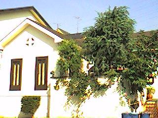 2006-08-18 14:41:44