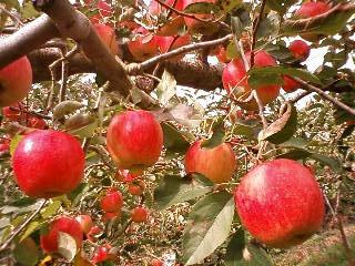 081102_122910.JPG