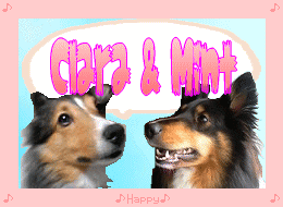 クララ＆ミント byシブチンさん.gif