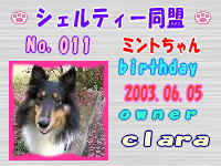シェルティー同盟：011 byシブチンさん.jpg