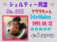 シェルティー同盟：012 byシブチンさん.jpg