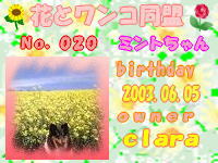 花ワンコ：020 byシブチンさん.jpg