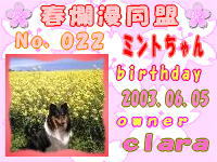 春爛漫：022 byシブチンさん.jpg