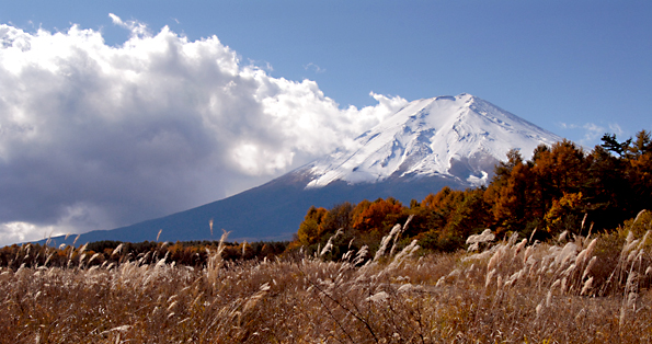 ススキと富士山.jpg