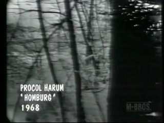 36 procol harum homburg.JPG