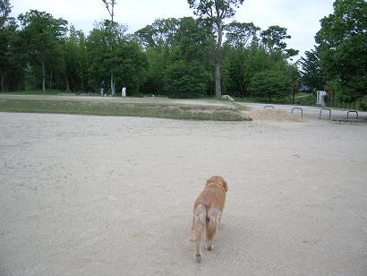 公園.JPG