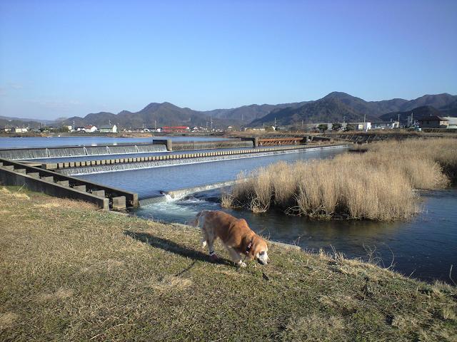 気持ちが良いね。.JPG