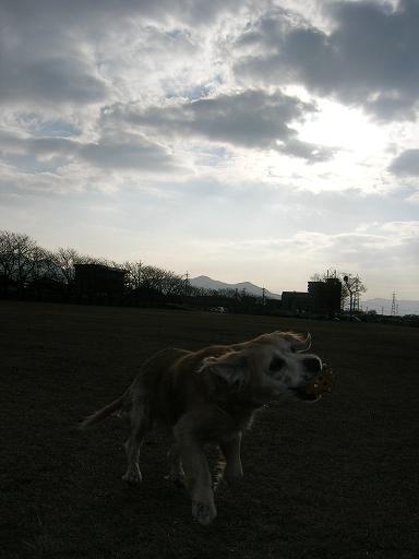 河川敷 (53).JPG