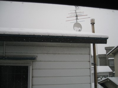IMG_0611.JPG