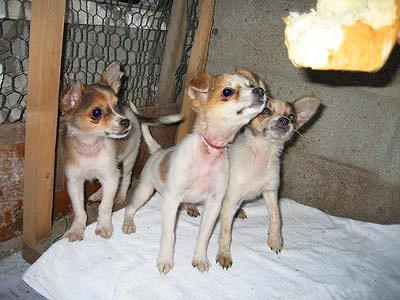 コピー ～ gumho-7s.jpg