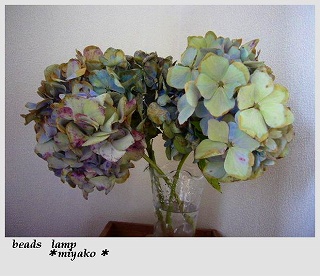 紫陽花のドライフラワー作り ビーズランプ ｍｉｙａｋｏ 楽天ブログ