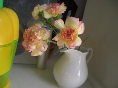 カーネーション