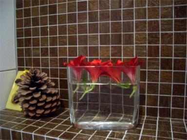 アリストロメリア２