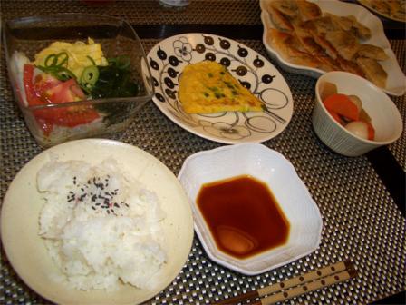 夕食20100616