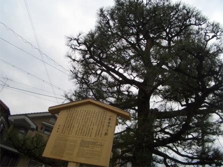 kyoto2011030617.jpg