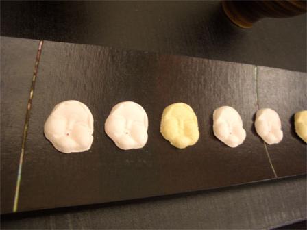 長方形漆皿とお干菓子