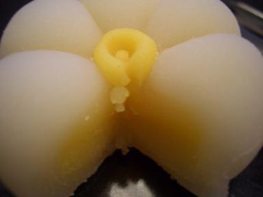 黄身餡＠水仙