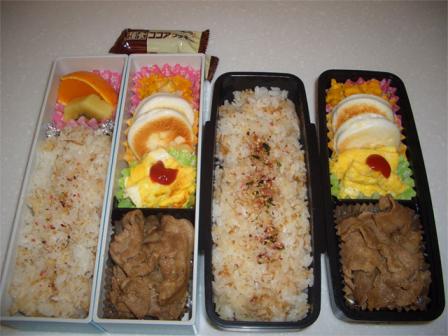 弁当20100511
