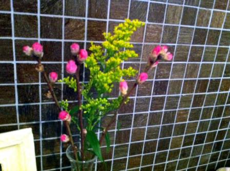 flower2011022601.jpg