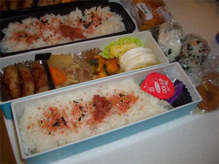 弁当20100622