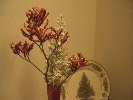 クリスマスの花