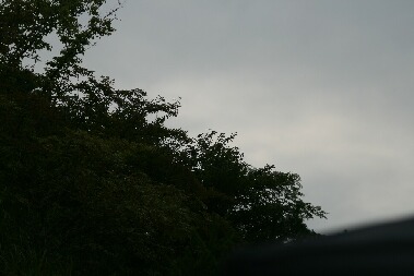 IMG_0095.JPG