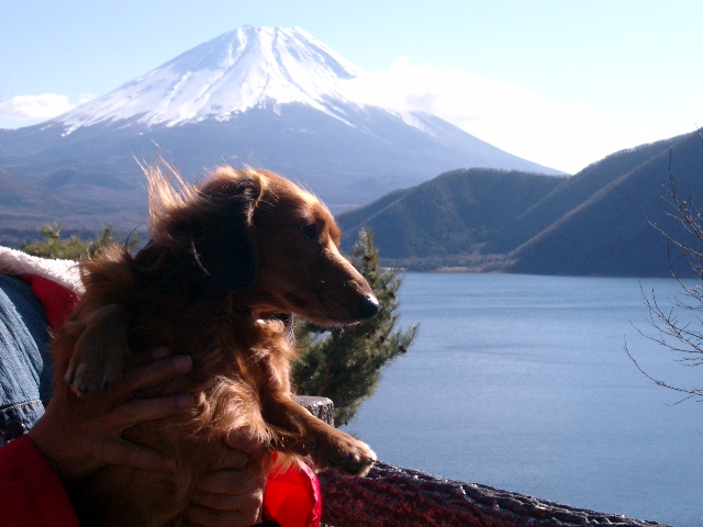 富士山綺麗！