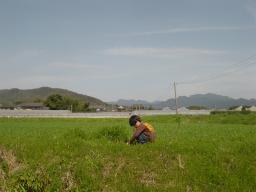 DSC03458.JPG