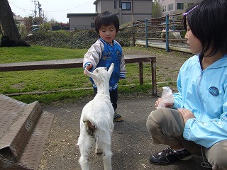 よしよし.jpg